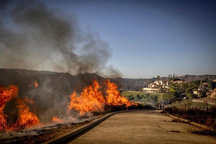 Fire Clearance & Brush Removal