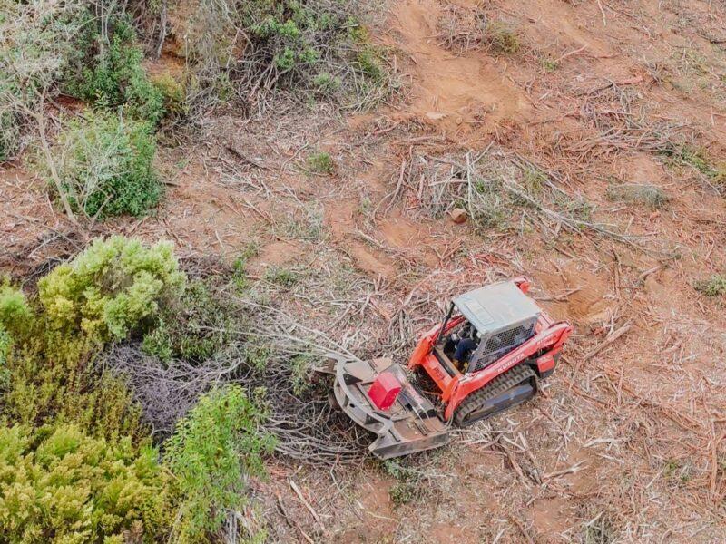 Land Clearing for New Construction