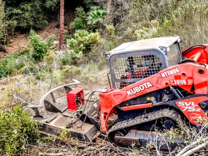 Brush Clearing for Fire Prevention