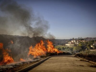 Brush Clearing for Fire Prevention