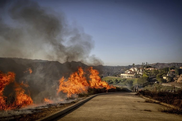 Brush Clearing for Fire Prevention