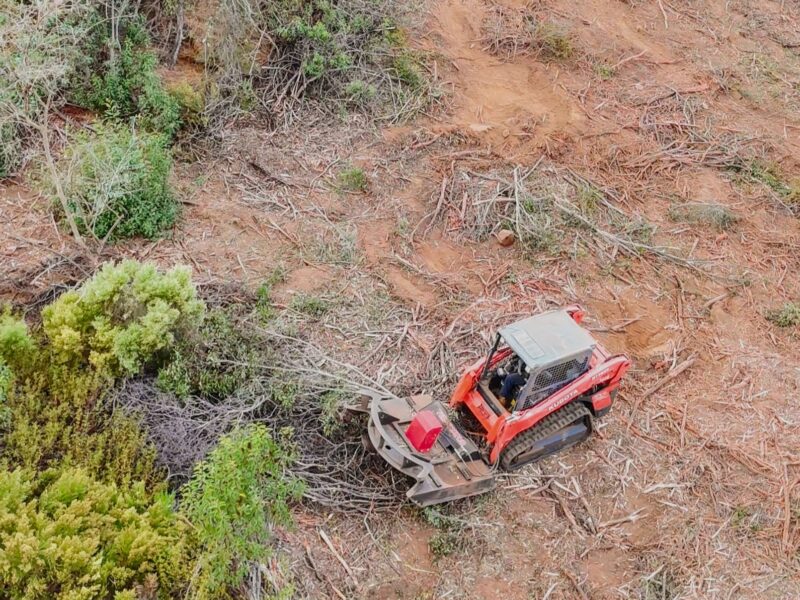 Fence Line Clearing