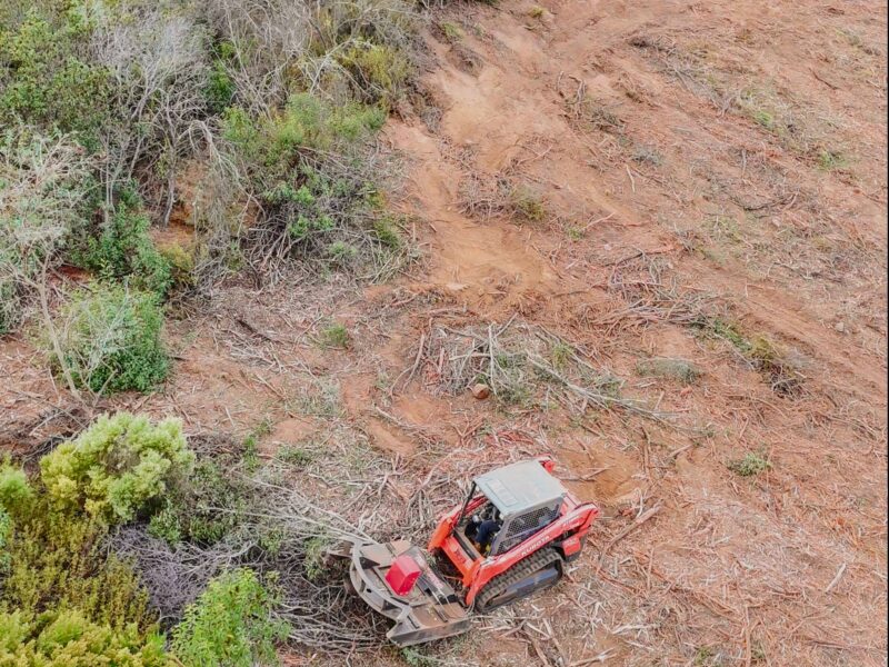 Brush Clearing for Fire Prevention